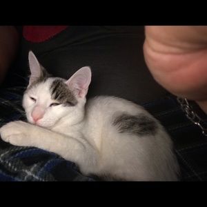 Meet your Posher, Mike